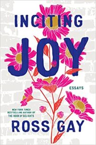 Inciting joy book cover