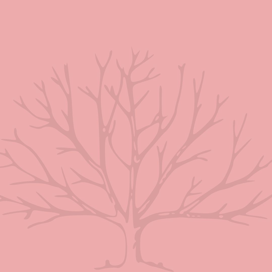 tree outline on rose background