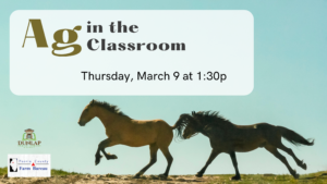 Ag in the Classroom/Horses