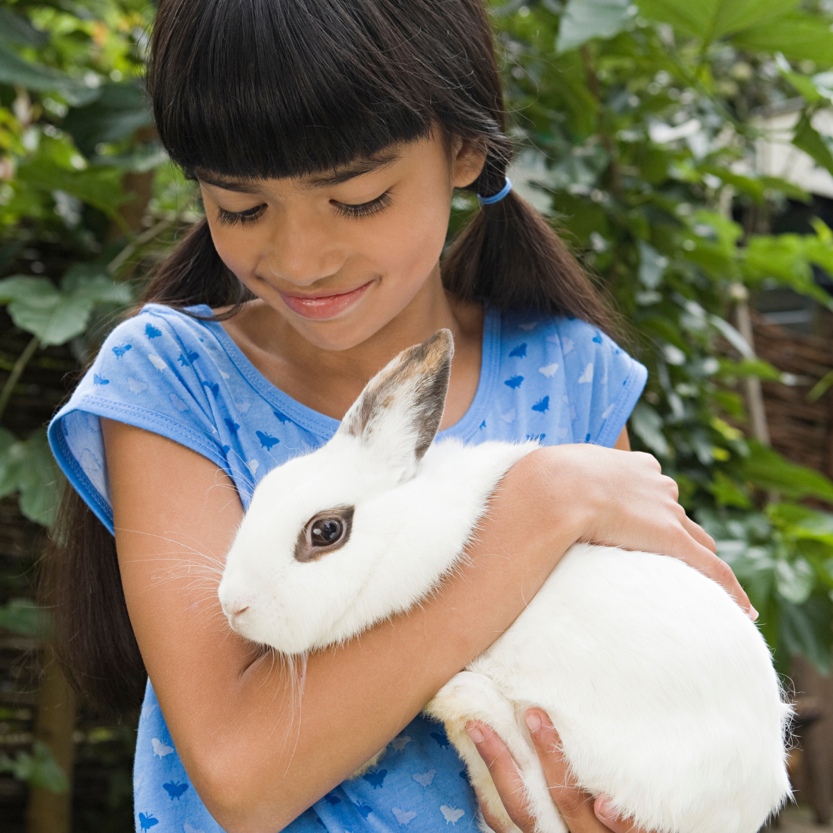 Girl petting a rabbit