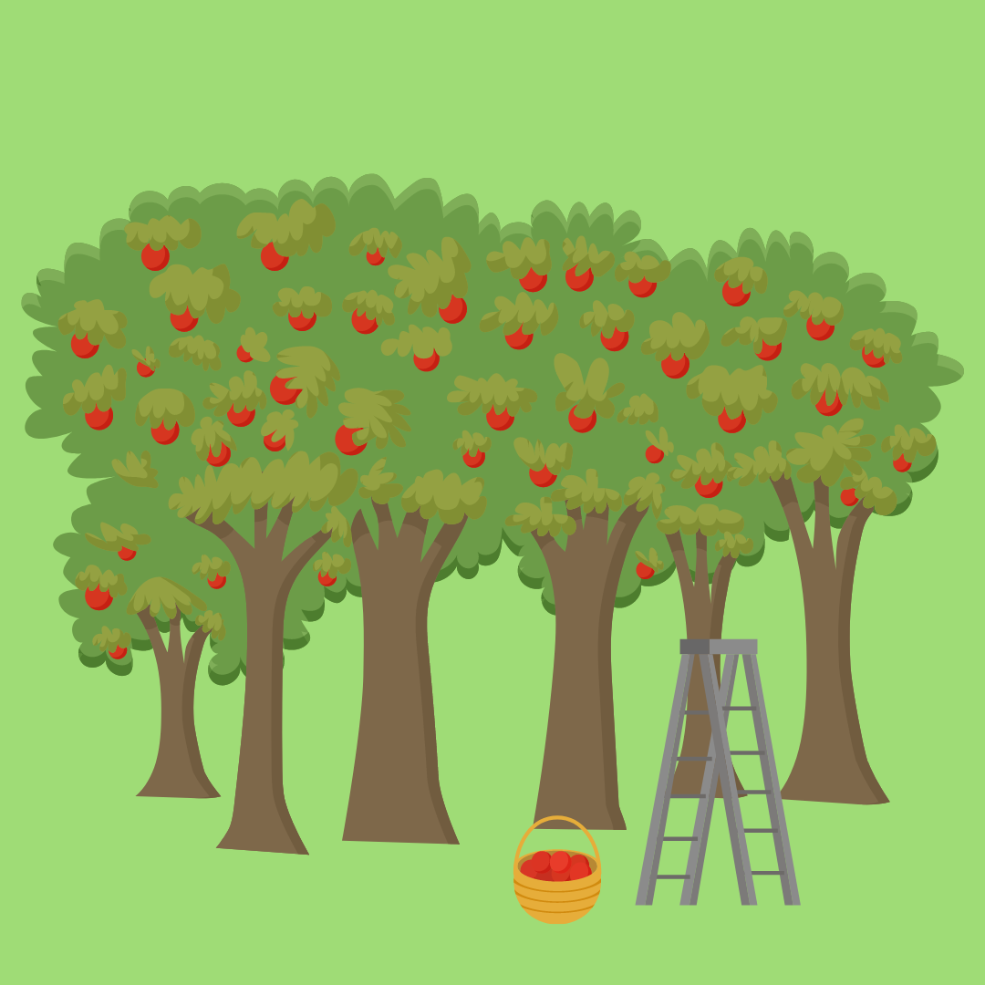 apple orchard graphic on a green background