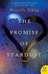 The Promise of Stardust book cover